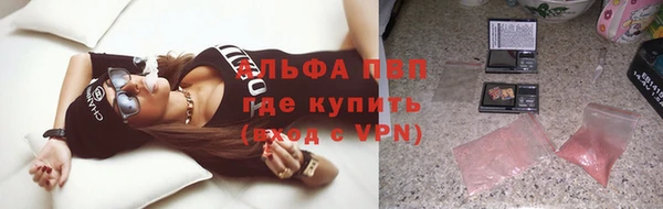 эйфоретик Баксан