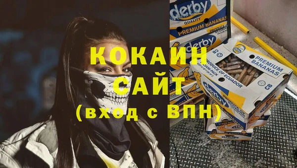 эйфоретик Баксан