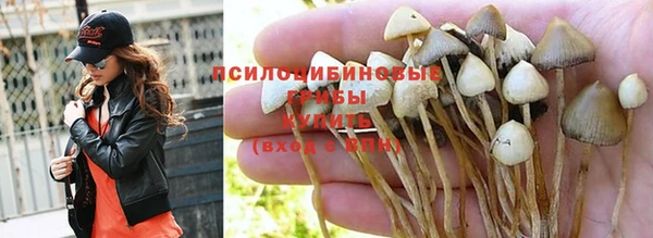 молекула духа Балахна