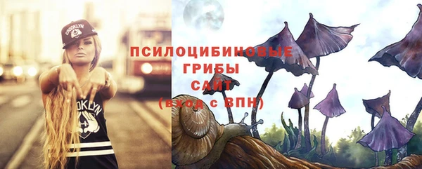 эйфоретик Баксан