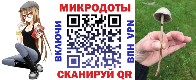 Псилоцибиновые грибы мухоморы  Щигры 